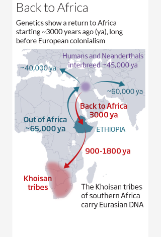 Illustration for article titled New evidence shows ancient humans moved back to Africa